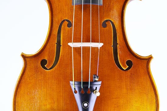 violin violin