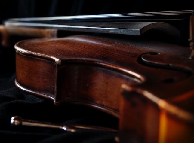 violin violin